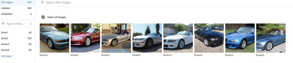 Google AutoML Data